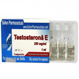 Purchase Testosterona E from Legal Supplier