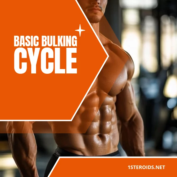 Buy Basic Bulking Cycle Online