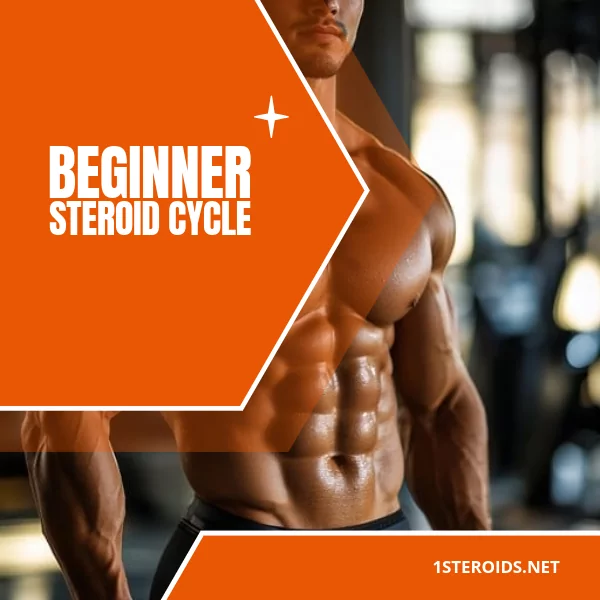 Buy Beginner Steroid Cycle Online