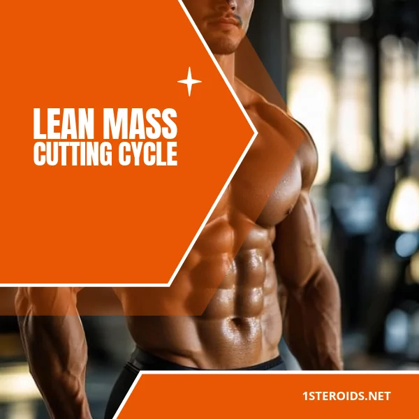 Buy Lean Mass/Cutting Cycle Online