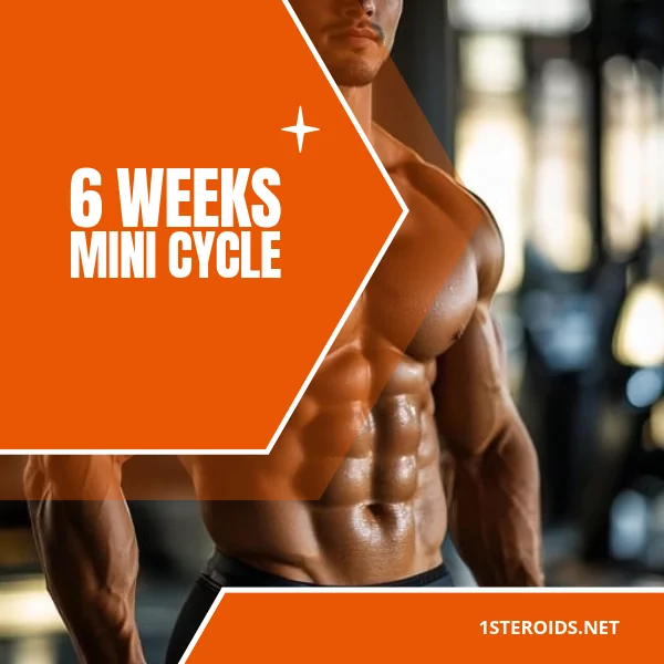 Buy 6 Weeks Mini Cycle Online