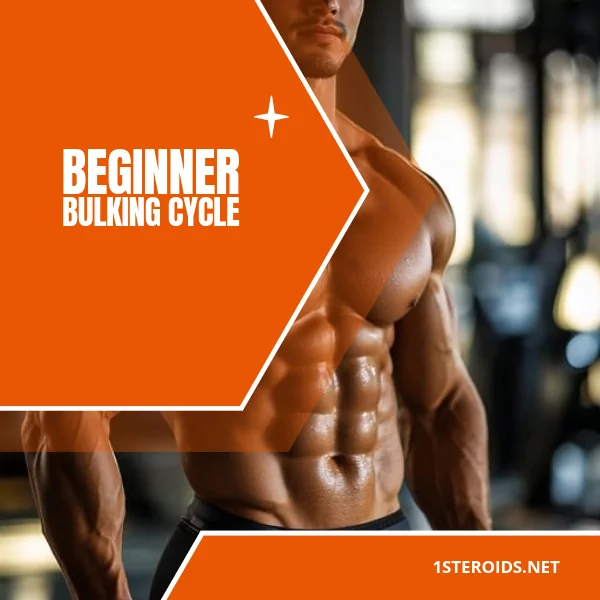 Buy Beginner Bulking Cycle Online