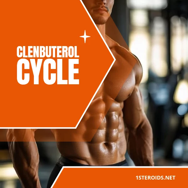 Buy Clenbuterol Cycle Online