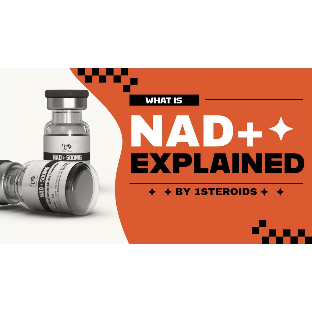 Articles Image What Is NAD and Why Athletes Care About It Articles Image What Is NAD and Why Athletes Care About It
