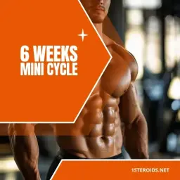 Buy 6 Weeks Mini Cycle Online