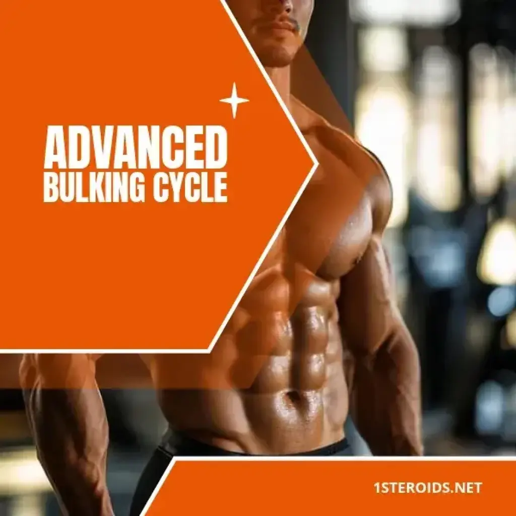 Buy Advanced Bulking Cycle Online