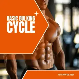 Buy Basic Bulking Cycle Online
