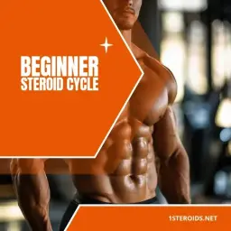 Buy Beginner Steroid Cycle Online