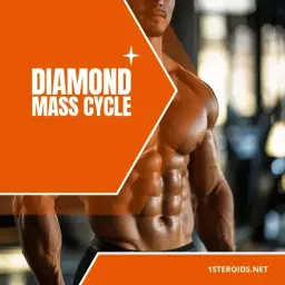 Buy Diamond Mass Cycle Online