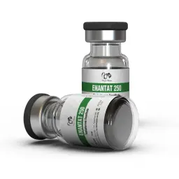 Buy Enantat 250 mg Online