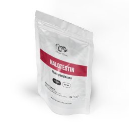 Buy Halotestin 10 mg Online