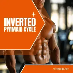 Buy Inverted Pyramid Cycle Online
