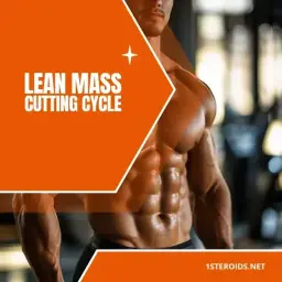 Buy Lean Mass/Cutting Cycle Online