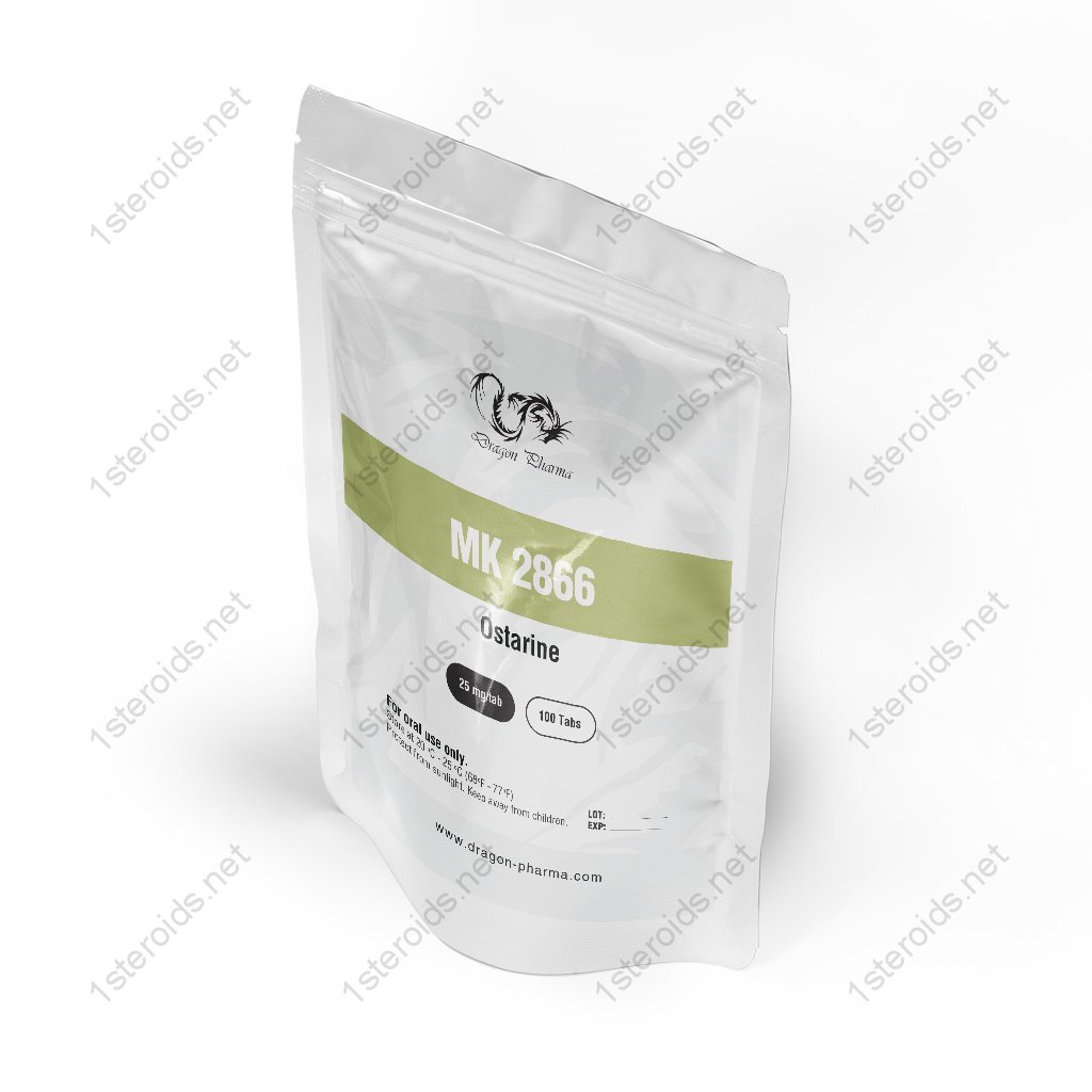 Buy MK 2866 Online Buy MK 2866 Online