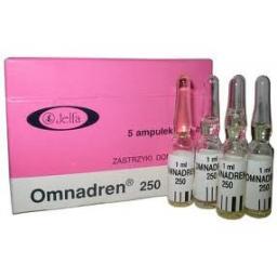 Buy Omnadren 250 Online