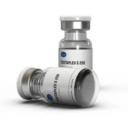 Buy Testaplex E 250 Online