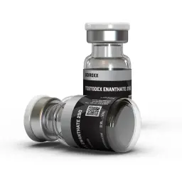 Buy Testodex Enanthate 250 Online