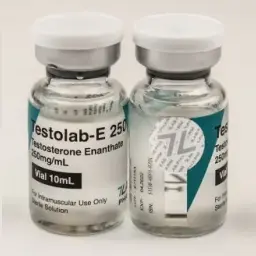 Buy Testolab-E 250 Online