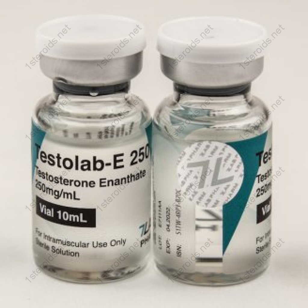 Buy Testolab-E 250 Online Buy Testolab-E 250 Online