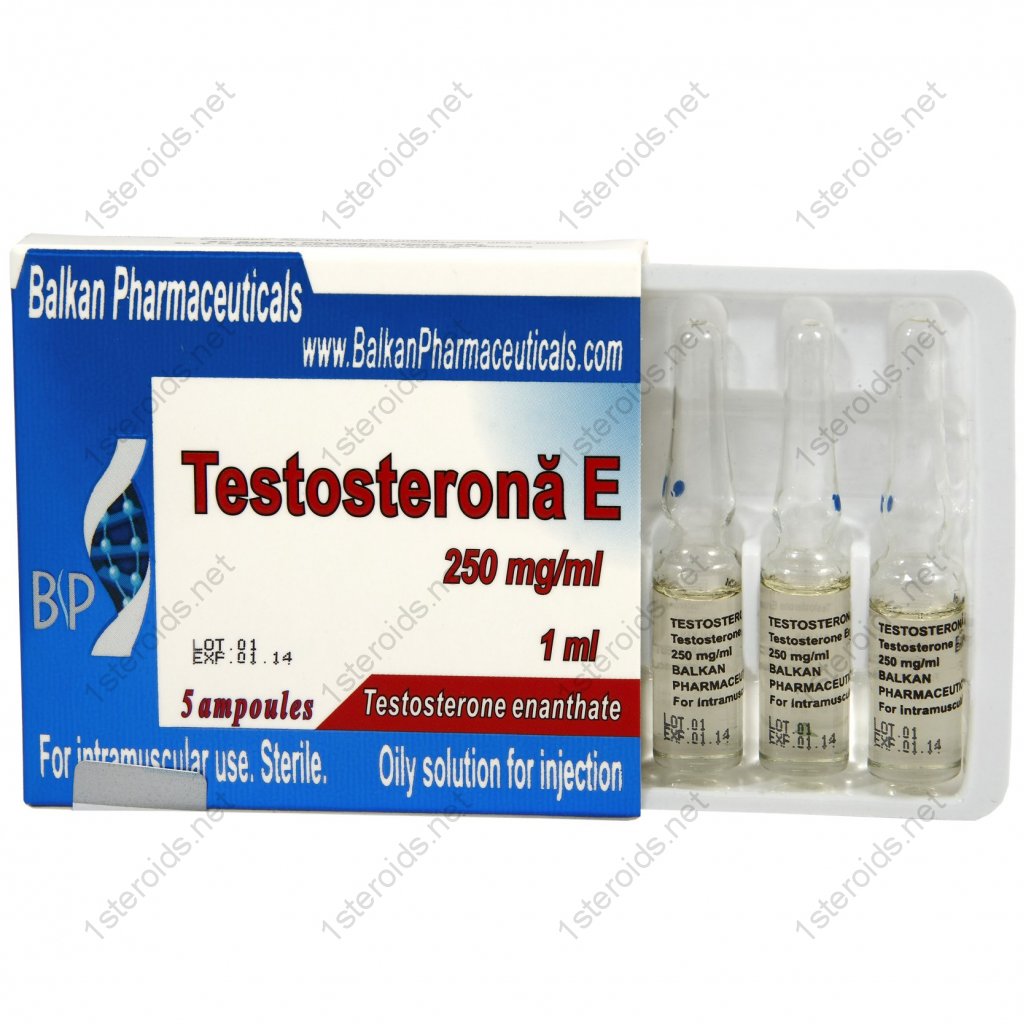 Buy Testosterona E Online Buy Testosterona E Online