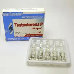 Buy Testosterona P Online