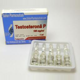 Buy Testosterona P Online