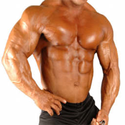 Advanced Bulking Cycle Advanced Bulking Cycle