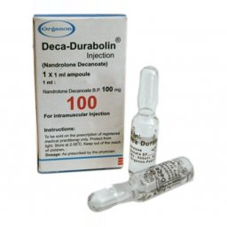 Organon Deca Durabolin Deca Durabolin