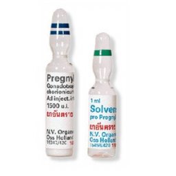 Organon HCG Pregnyl 1500 HCG Pregnyl 1500
