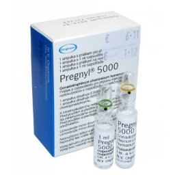 Organon HCG Pregnyl 5000 HCG Pregnyl 5000