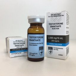 Gen-Shi Laboratories Testo-E 500 Testo-E 500